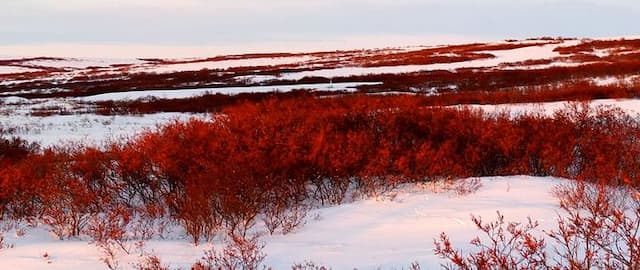 A Lone Samurai Journeys to a Frozen Earth in Eric Van Lustbader’s The Sunset Warrior
