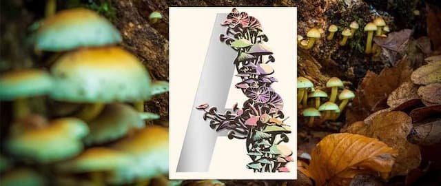 [CLOSED] Win Annihilation Author Jeff VanderMeer's Complete Ambergris Trilogy
