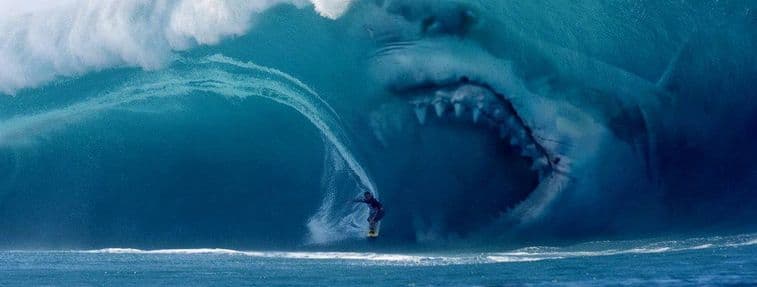 Alleged Megalodon Sightings That Will Make You Want to Believe
