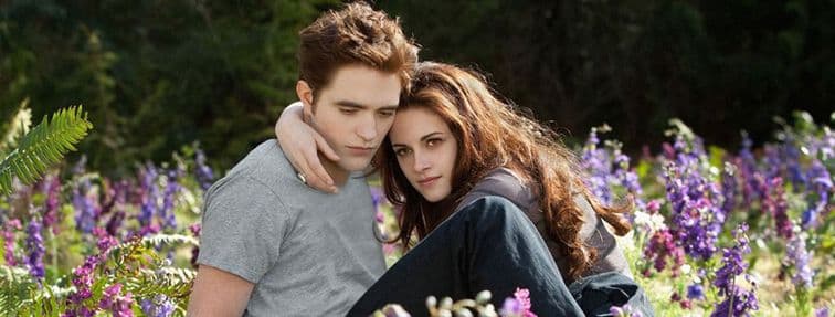 16 Heart-Pounding Books Like Twilight